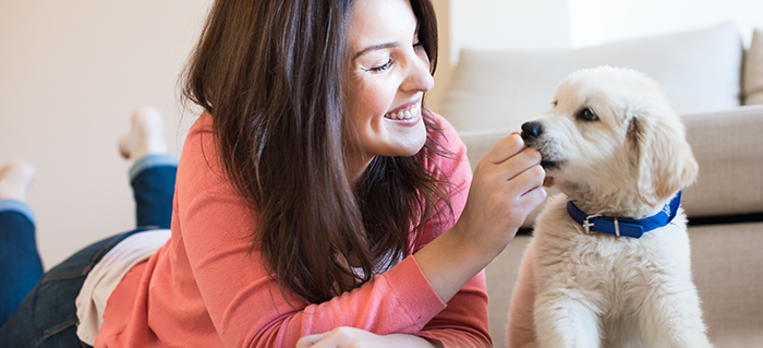Puppies and Gut Health: What You Should Know