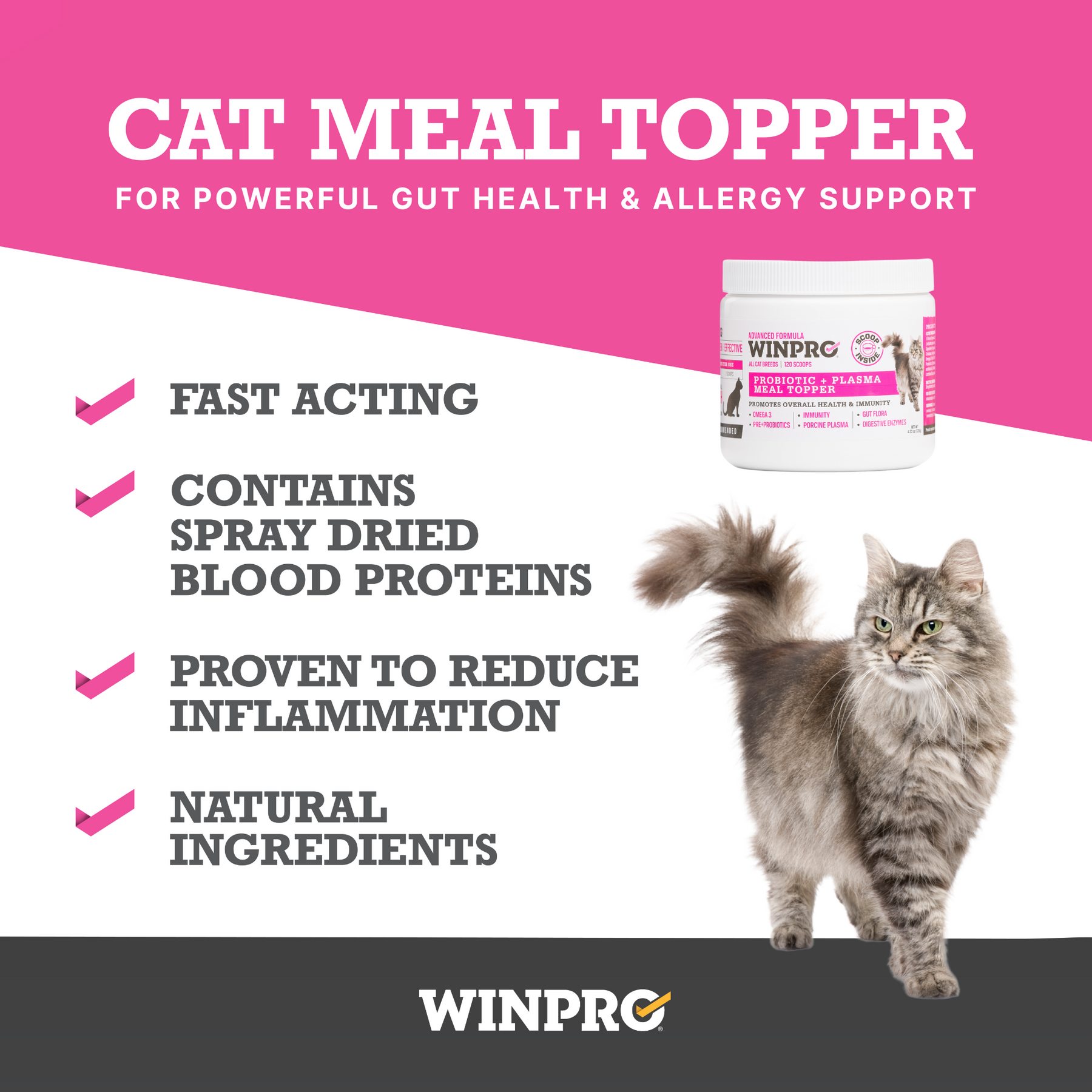 Cat Probiotic + Plasma Meal Topper