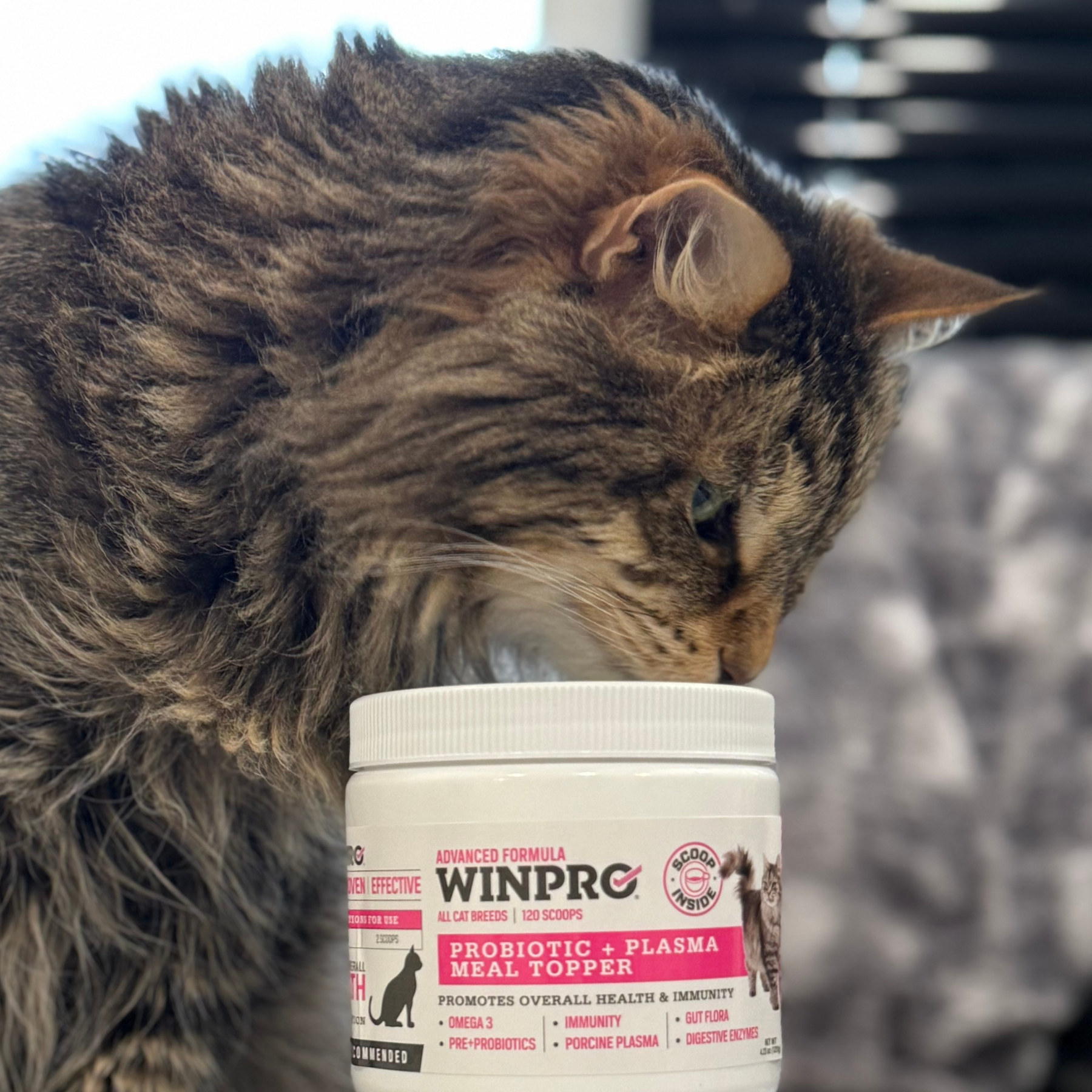 Cat Probiotic + Plasma Meal Topper