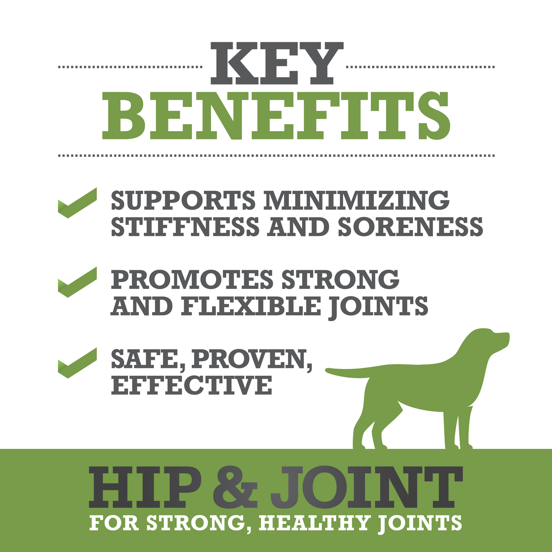 Hip & Joint