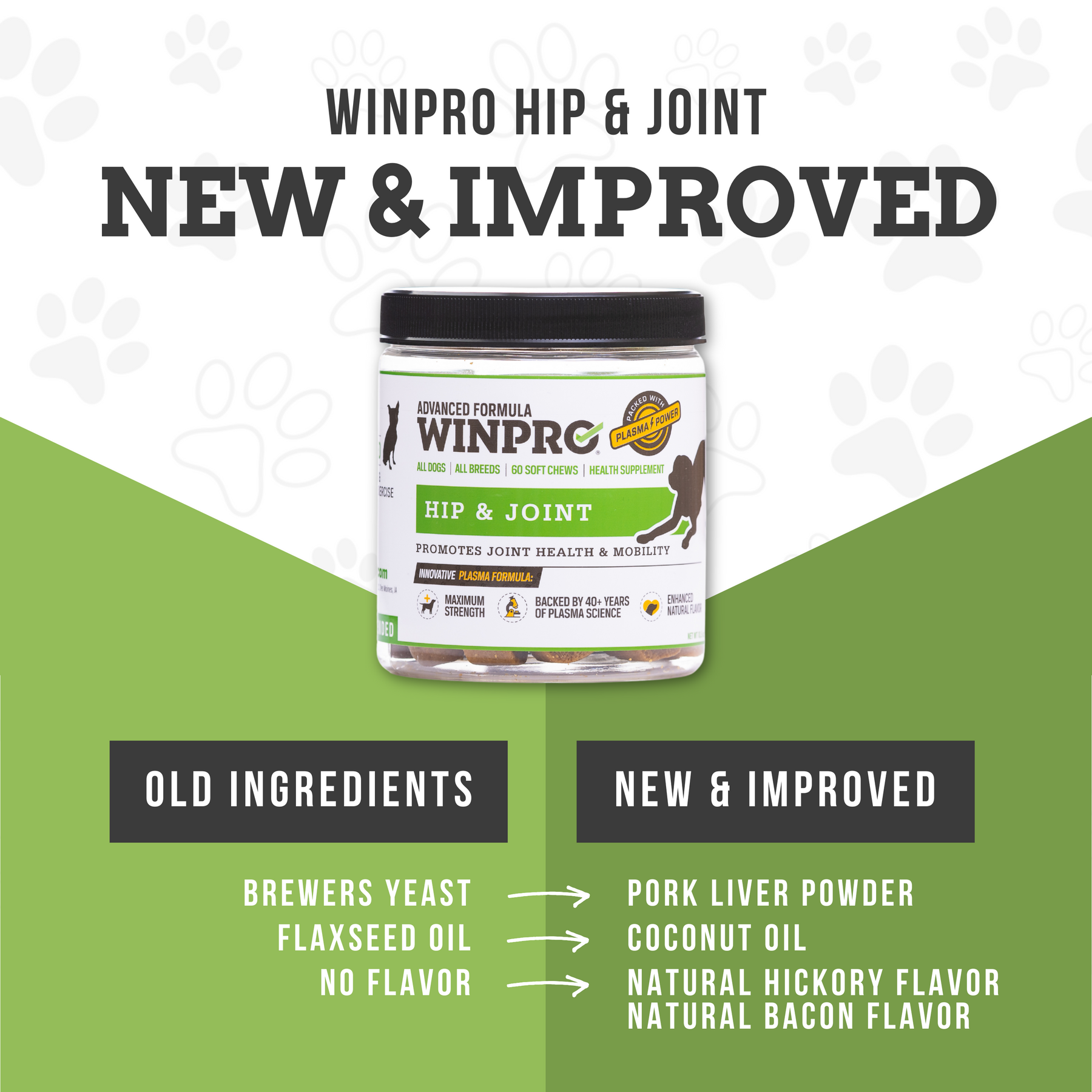 Hip & Joint