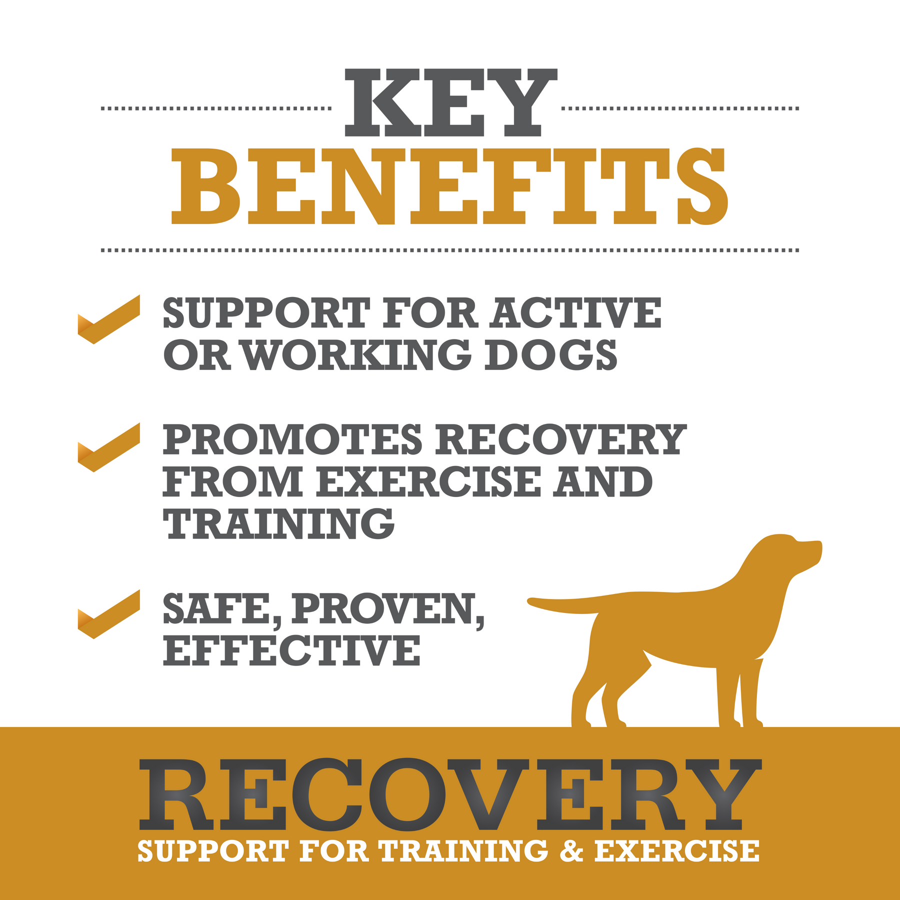 Recovery
