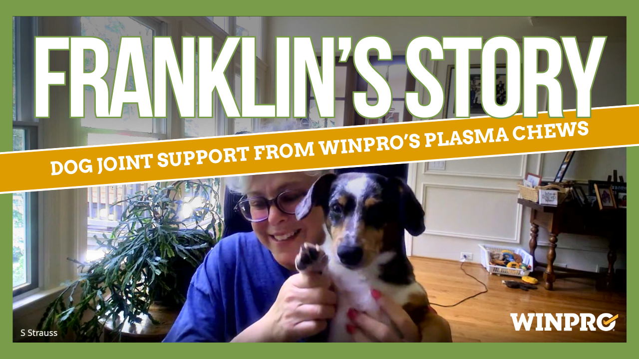 How WINPRO Helped Franklin Stay Active at 10 Years Old