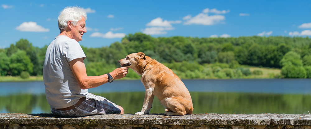 10 Tips for Caring for your Aging Dog