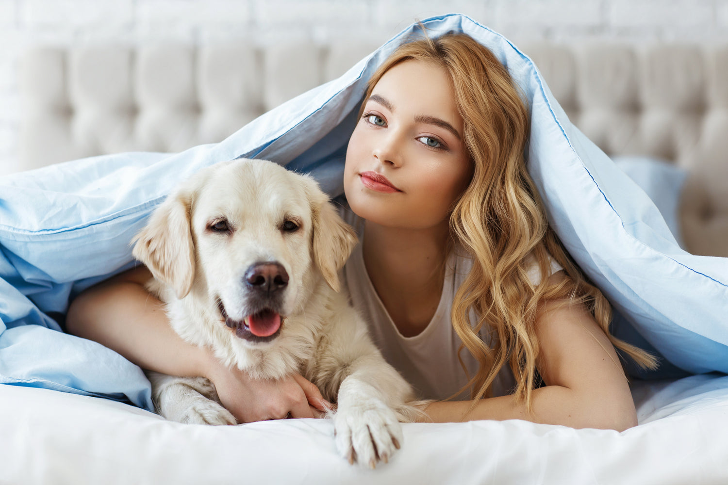 Relax My Dog: Six Methods Every Dog Owner Should Know