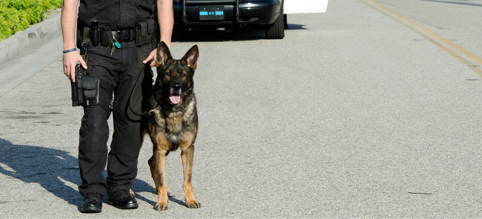 National Police Week: The Canine’s Role