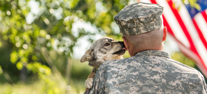 Saluting our Four-Legged Fallen: The Role of K9s in the Military