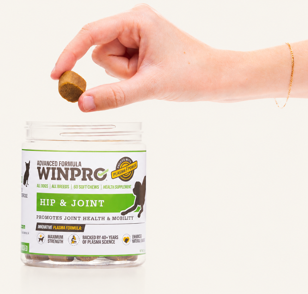 A hand giving a WINPRO Hip & Joint soft chew above the jar