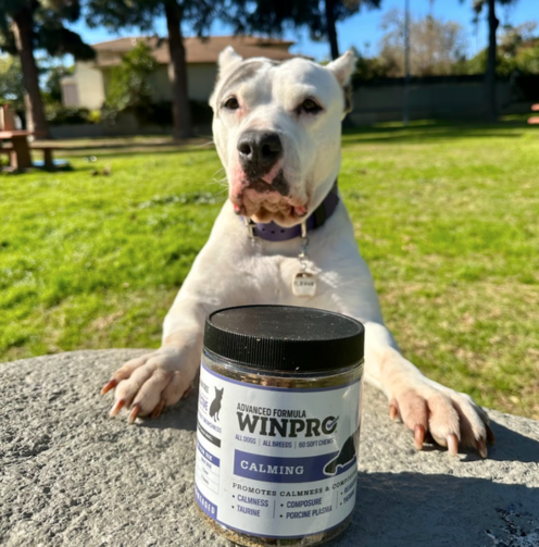 Nala outdoors