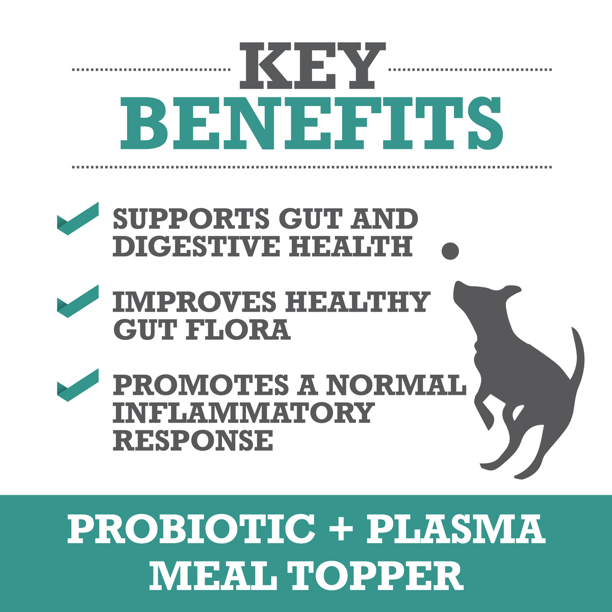 Probiotic + Plasma Meal Topper