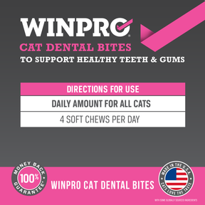 Cat Dental Bites