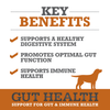 Gut Health