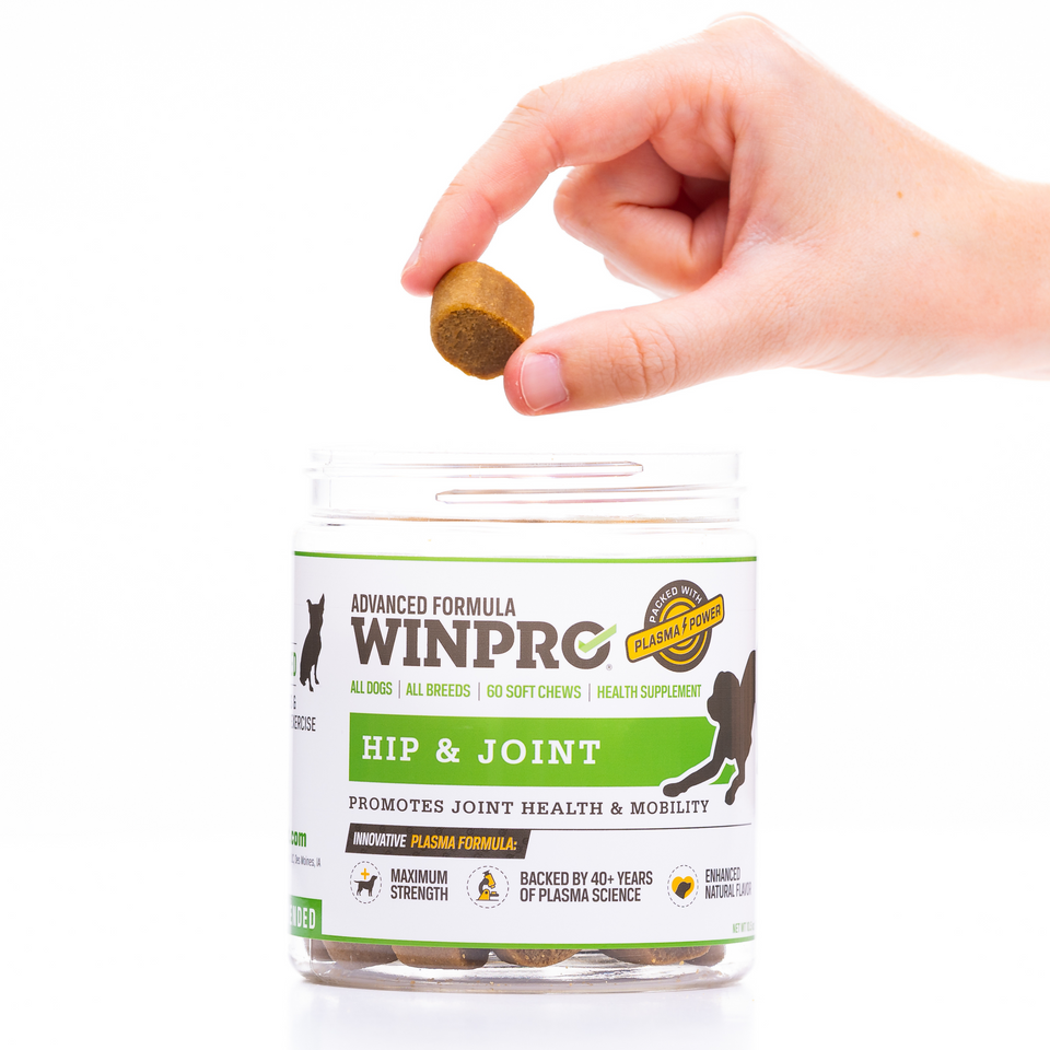WINPRO Hip & Joint