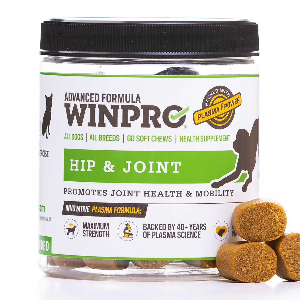 Dog Joint Supplements | Collagen For Dogs