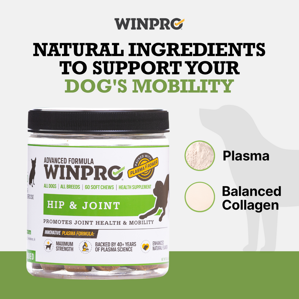 WINPRO Hip & Joint