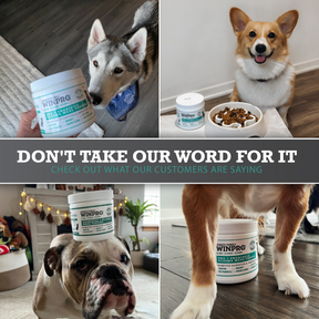 Probiotic + Plasma Meal Topper