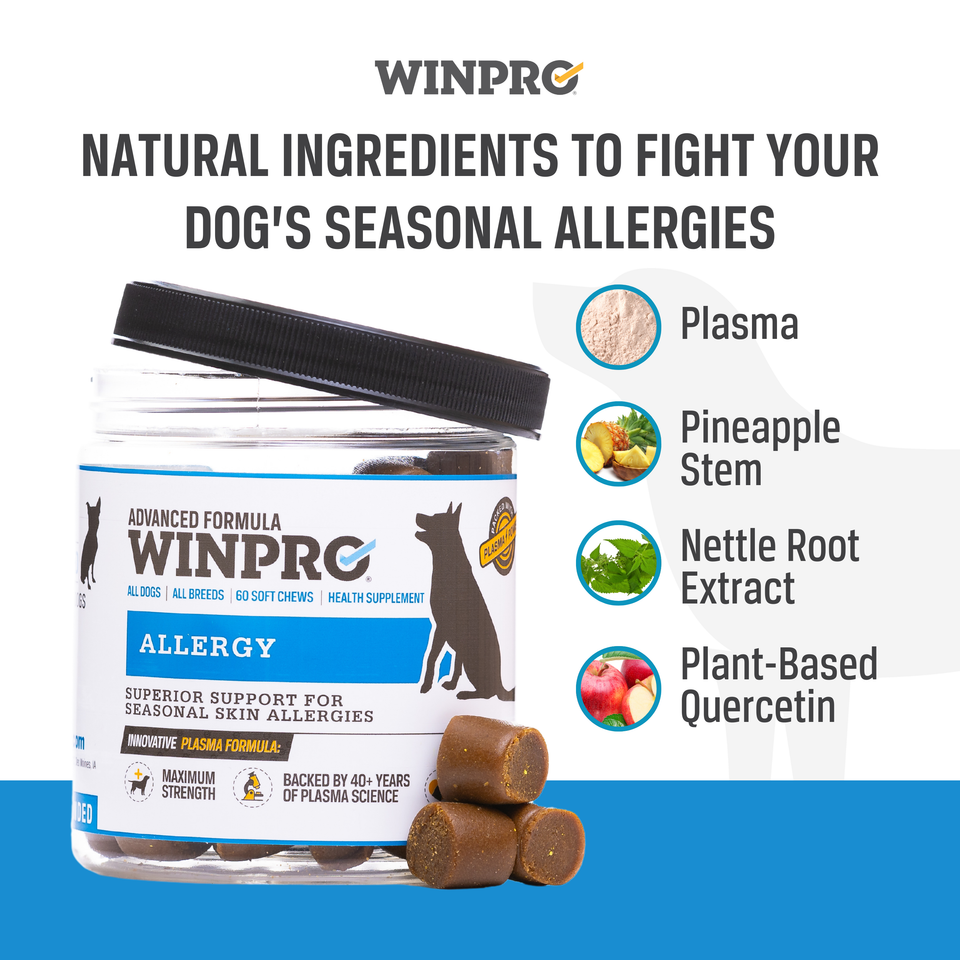 WINPRO Allergy