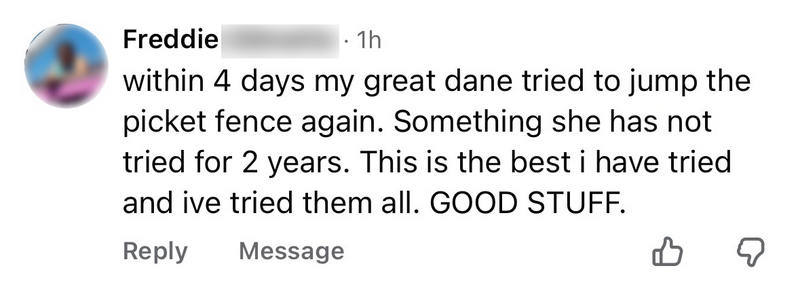 Facebook comment from Freddie about his Great Dane