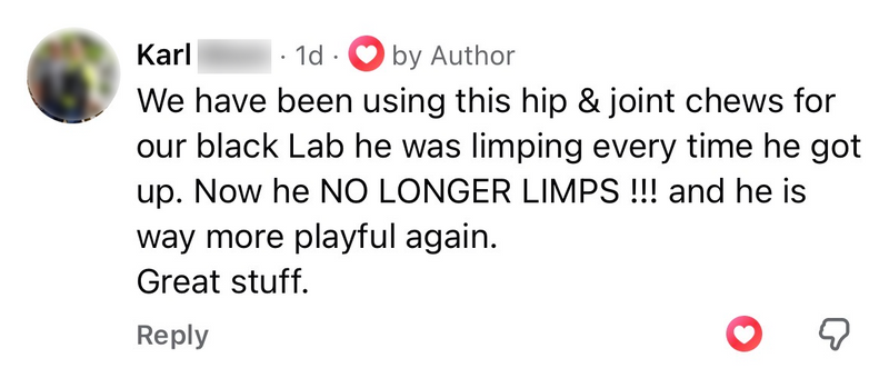 Facebook comment from Karl about his black Lab