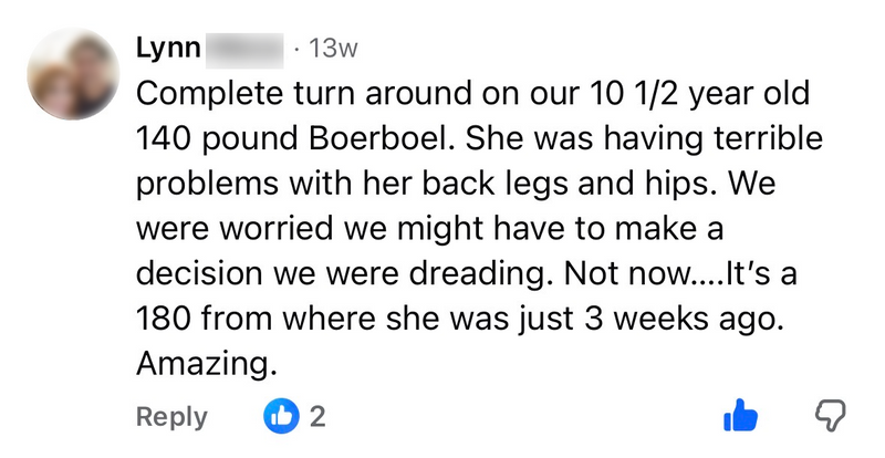 Facebook comment from Lynn about her Boerboel