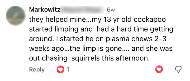 Facebook comment from Markowitz about his cockapoo
