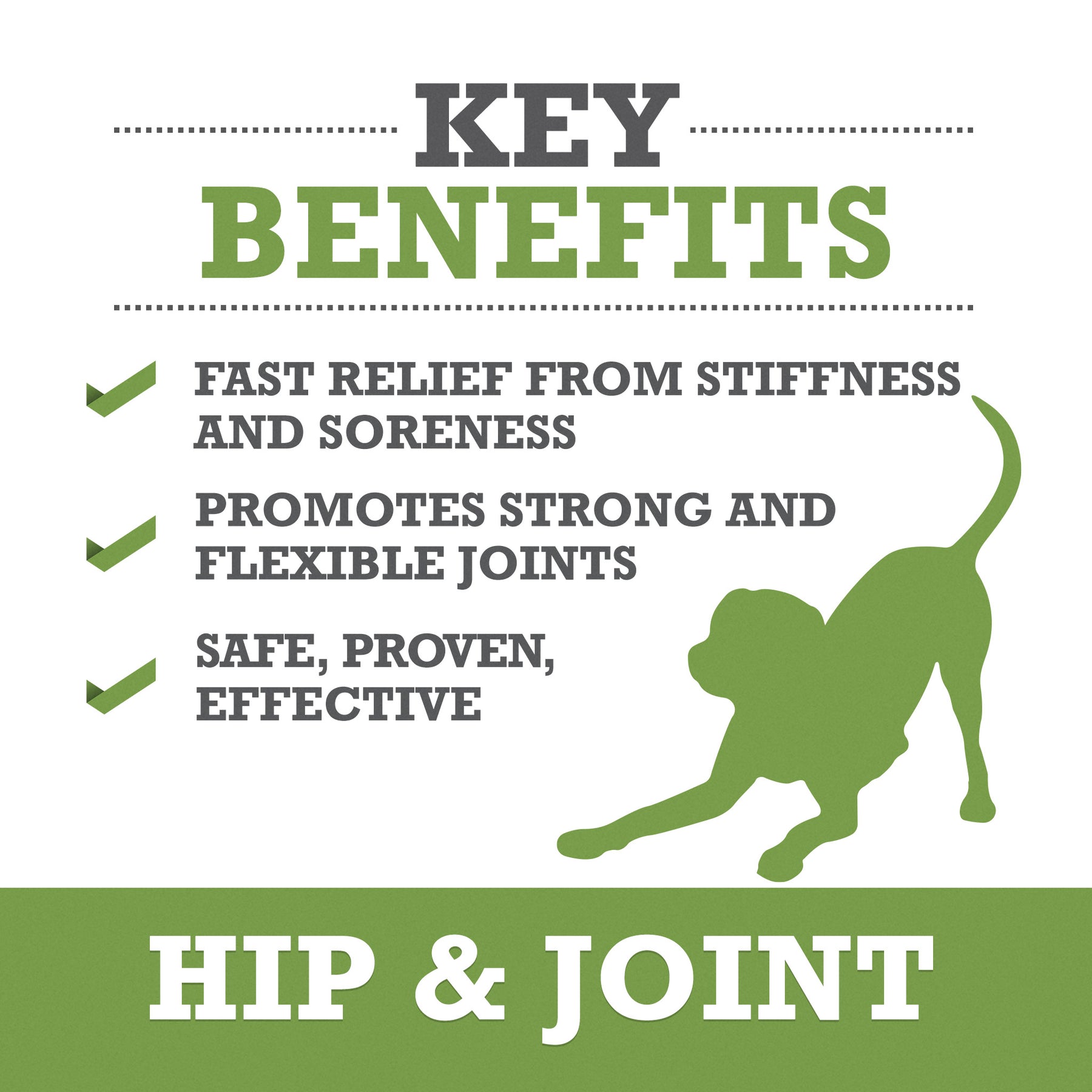 Hip & Joint