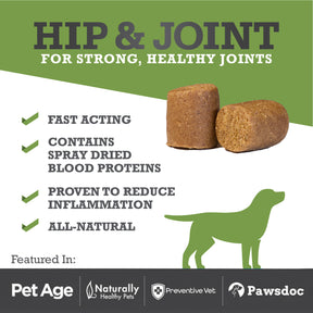 Hip & Joint