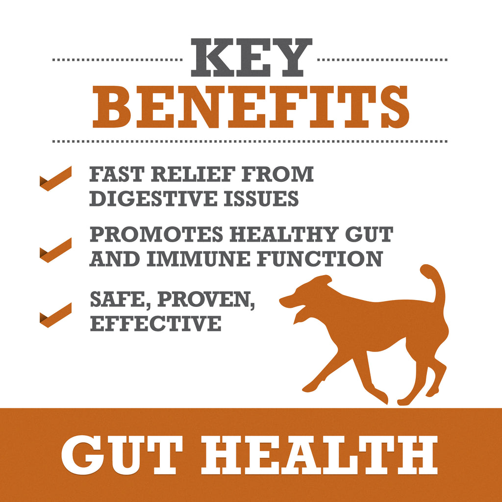 Gut Health