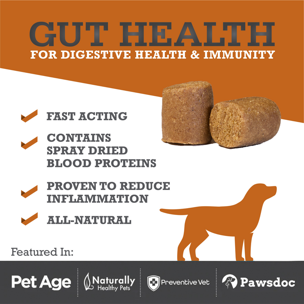 Gut Health