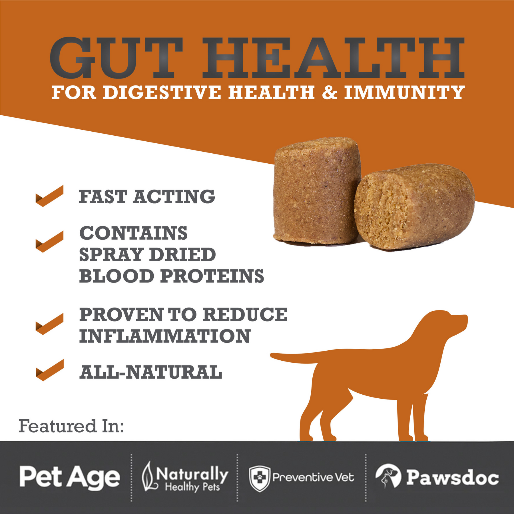 Dog Gut Health Supplements | Dog Digestion | WINPRO Pet