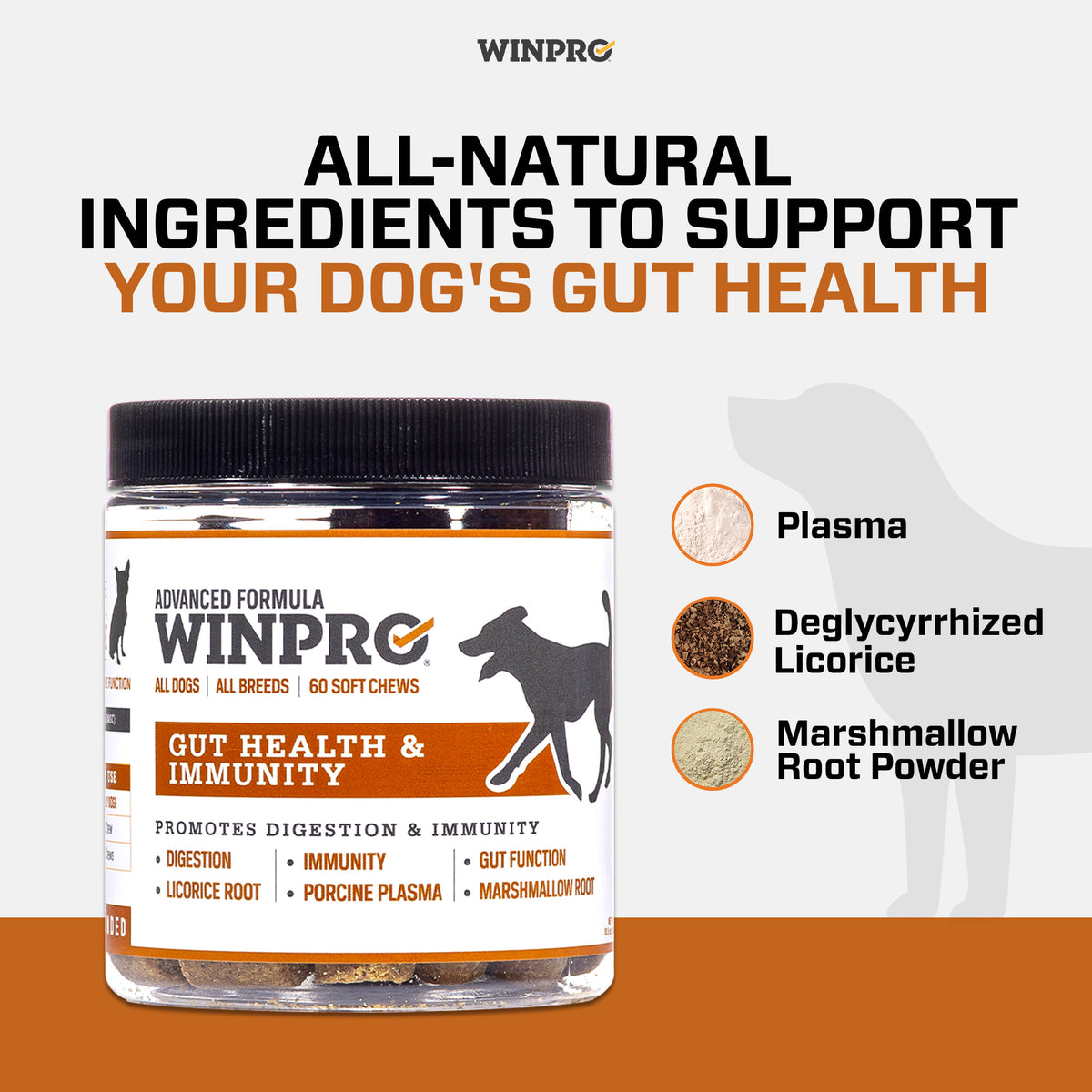 Dog Gut Health Supplements | Dog Digestion | WINPRO Pet